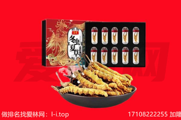 曲靖沾益区回收虫草.jpg